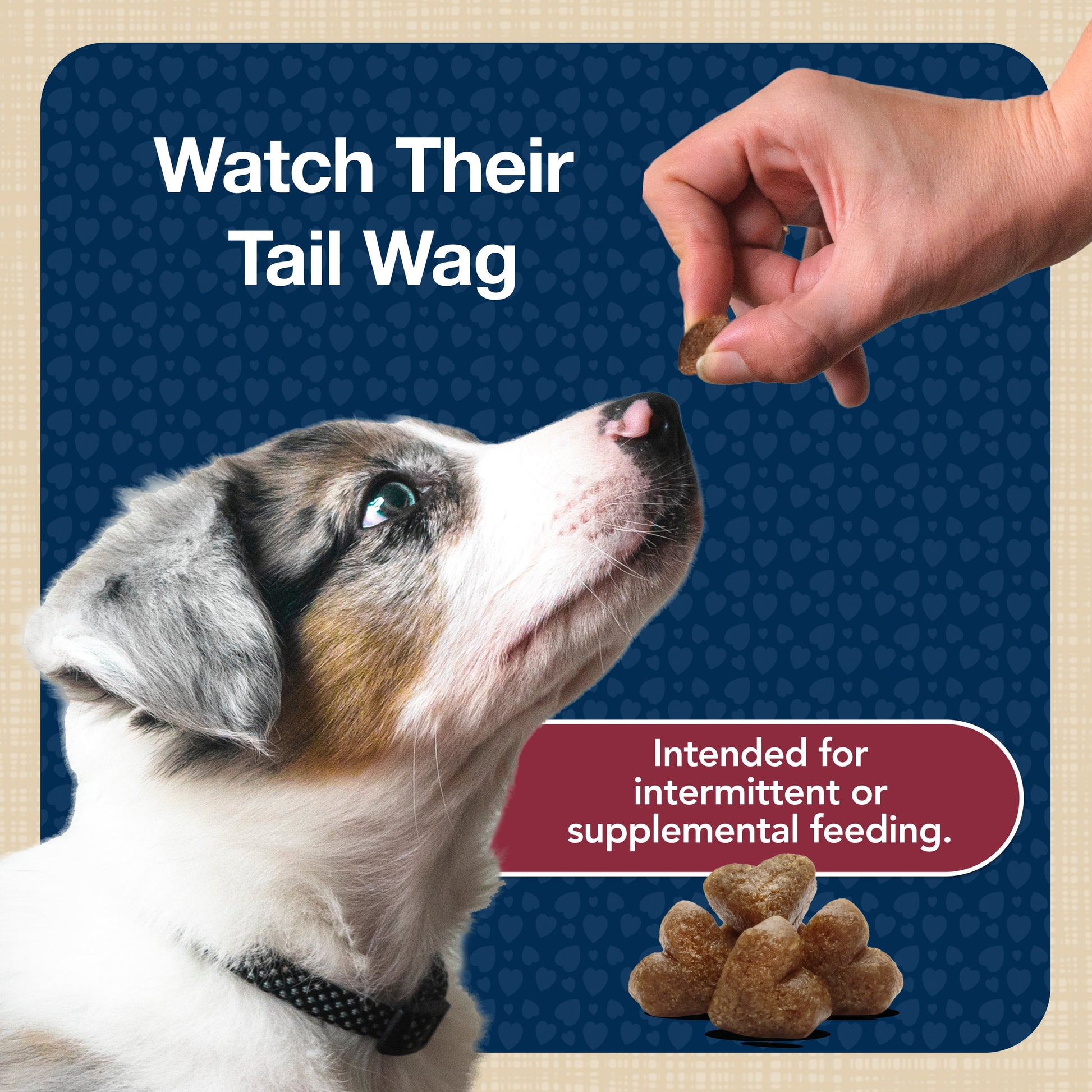 BLUE Bits Training Treats Beef Flavor Soft Treats for Dogs, Whole Grain, 9 Oz. Bag